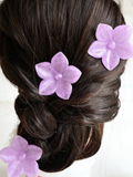 Flower clips