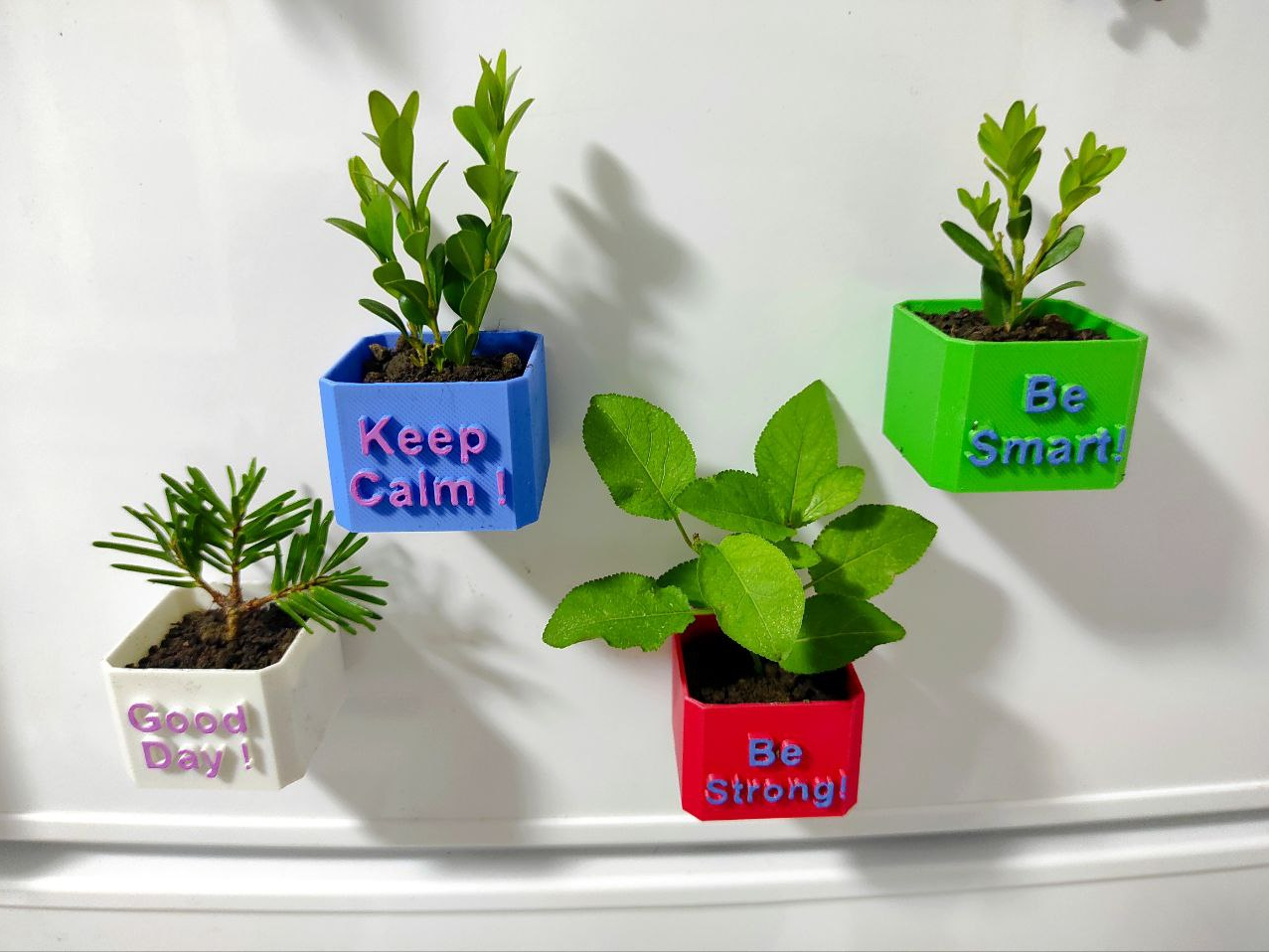 Planter Pot fridge magnets