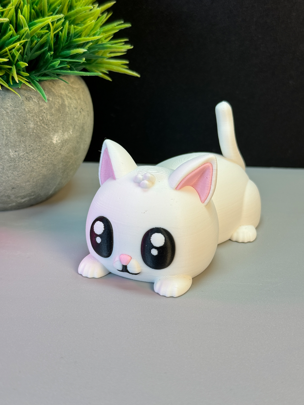 Cute cats