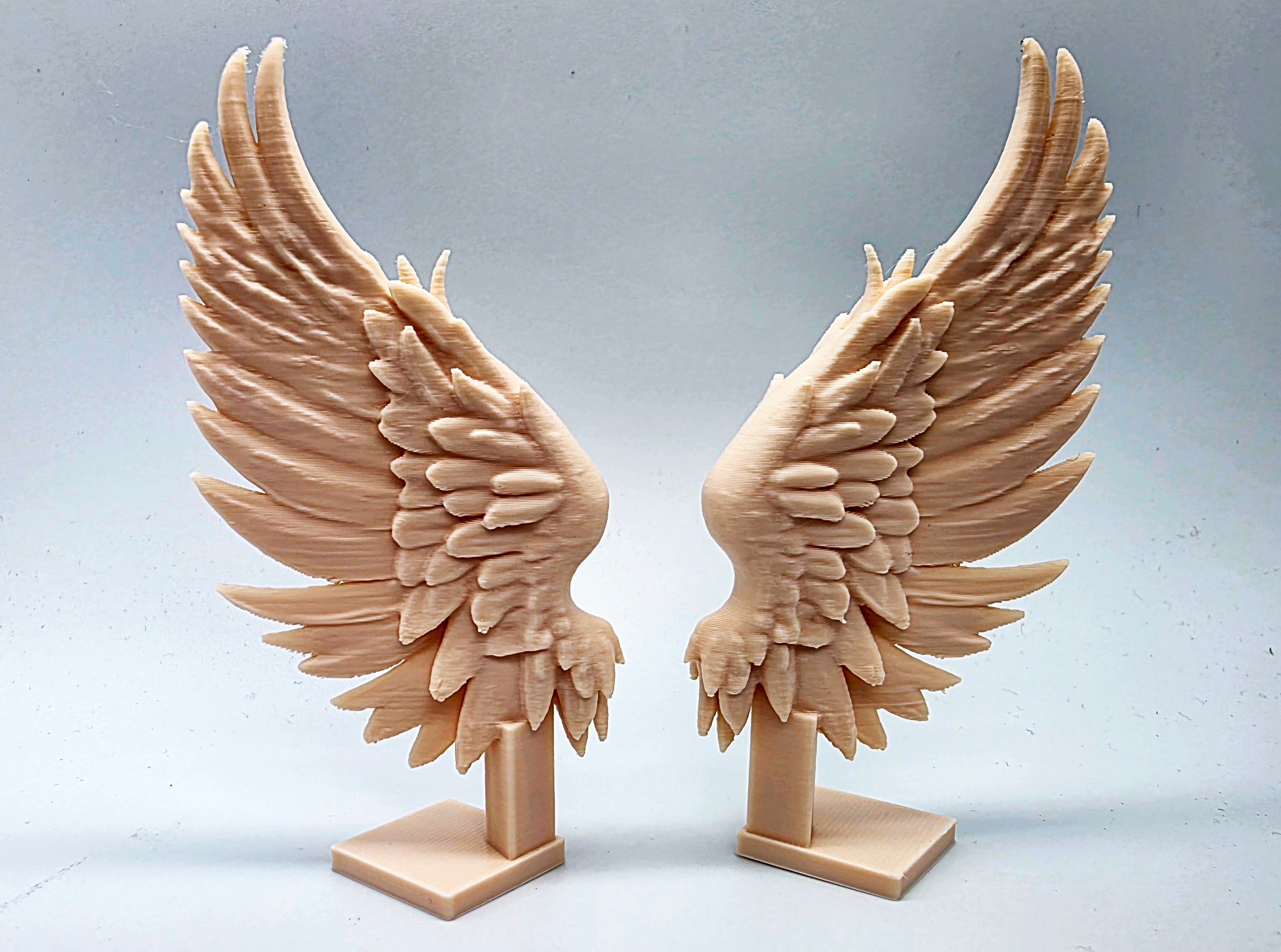 Angel wings