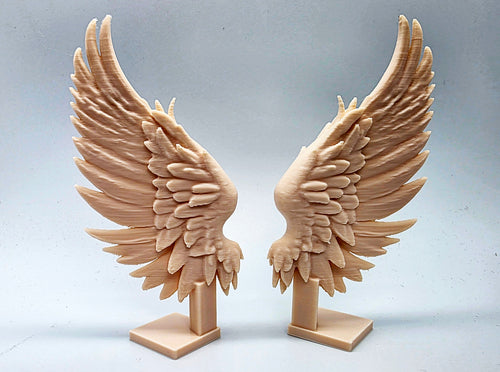 Angel wings