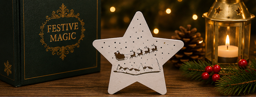 3D Printed Star Shaped Decorative Showpiece with Festive Cutout Design