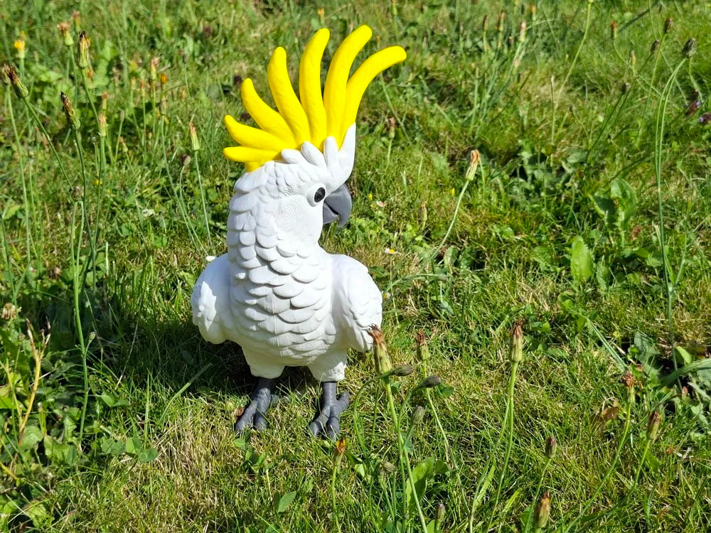Realistic Cockatoo Bird
