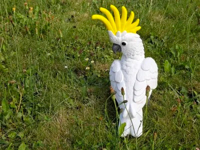 Realistic Cockatoo Bird