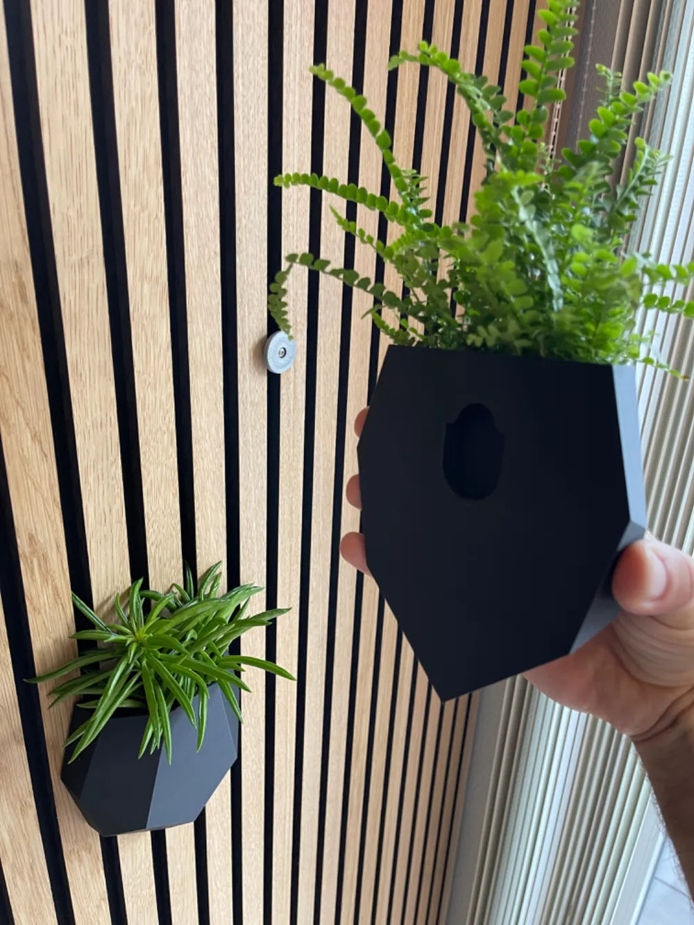 Self-Watering Wall Vase angle – 3D Printed Smart Wall Planter by FOFUS Kerala