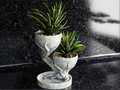 Double Tree Pot – 3D Printed Twin-Tree Sculptural Plant Pot by FOFUS, Thrissur Kerala