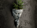 Woman Face Wall Flower Pot – 3D Printed Feminine Wall Planter by FOFUS, Thrissur Kerala