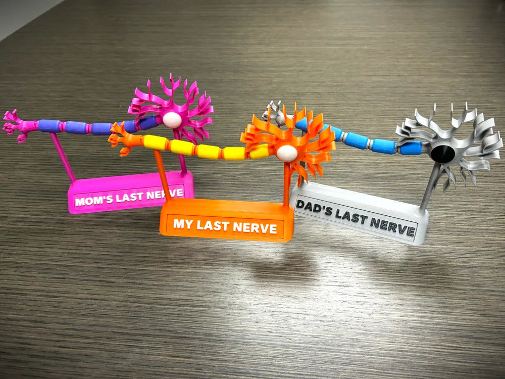 Neuron Desk Model angle – 3D Printed My Last Nerve Science Toy by FOFUS Kerala
