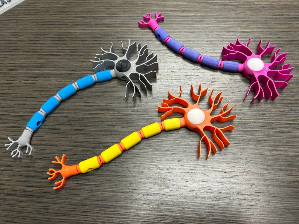Neuron Model detail – 3D Printed Articulated Science Desk Ornament by FOFUS Kerala