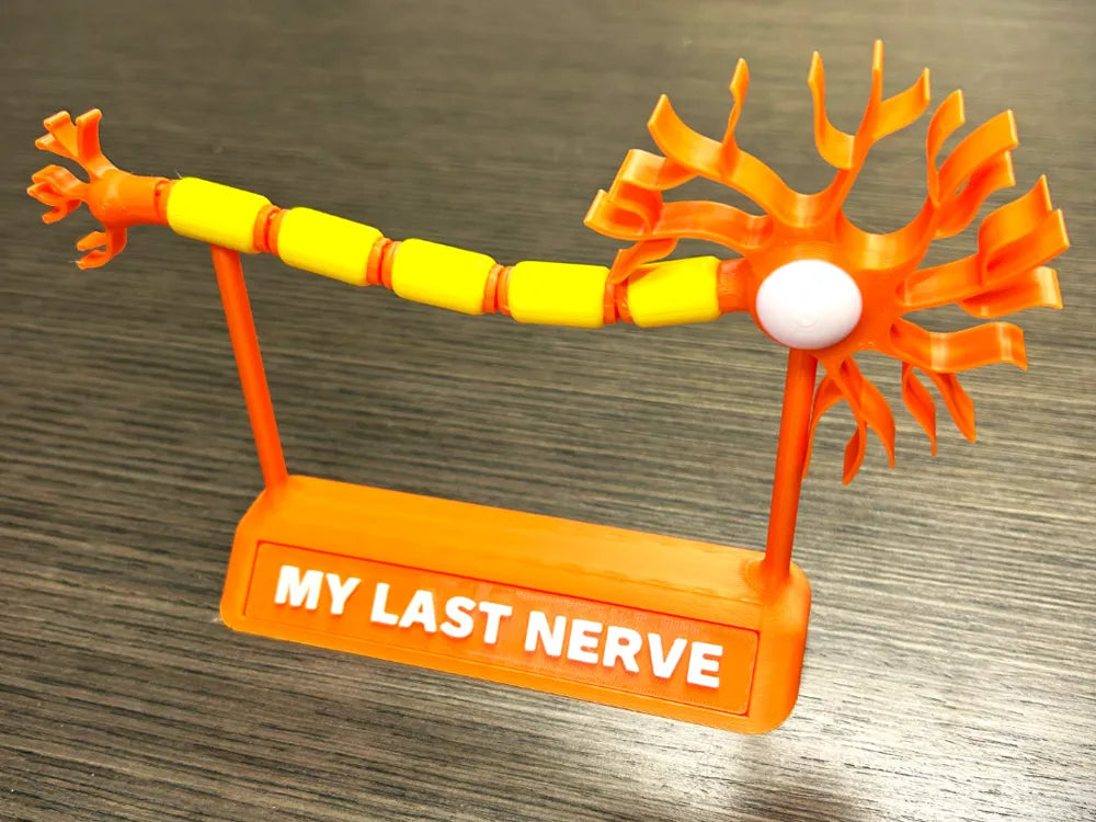 Articulated Neuron Desk Model – 3D Printed Science Gift Desk Toy by FOFUS, Thrissur Kerala
