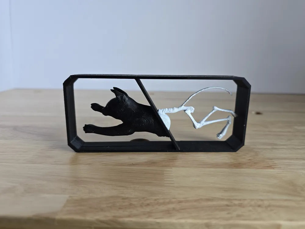 Schrodinger's Cat Collectible angle – 3D Printed Physics Paradox Cat Figurine by FOFUS Kerala