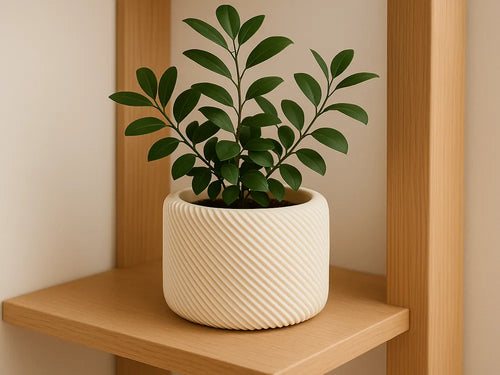Claudia Botany Chic Planter – 3D Printed Elegant Indoor Plant Pot by FOFUS, Thrissur Kerala