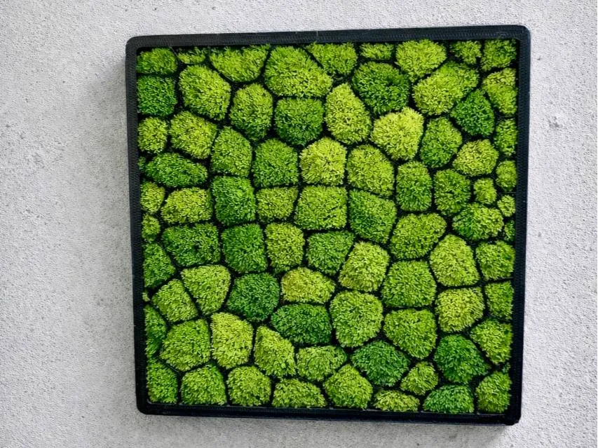 Moss Wall Frame – 3D Printed Botanical Forest Green Decorative Frame by FOFUS, Thrissur Kerala