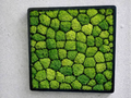 Moss Wall Frame – 3D Printed Botanical Forest Green Decorative Frame by FOFUS, Thrissur Kerala