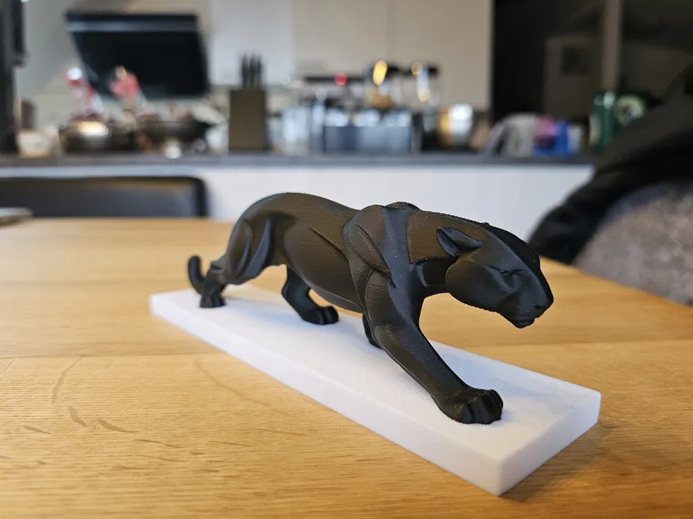 Sleek Panther