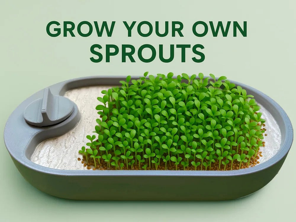 Fresh Microgreens / Sprouts Growing Kit