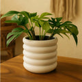 Arched Terracotta Planter with Hexagon Trellis