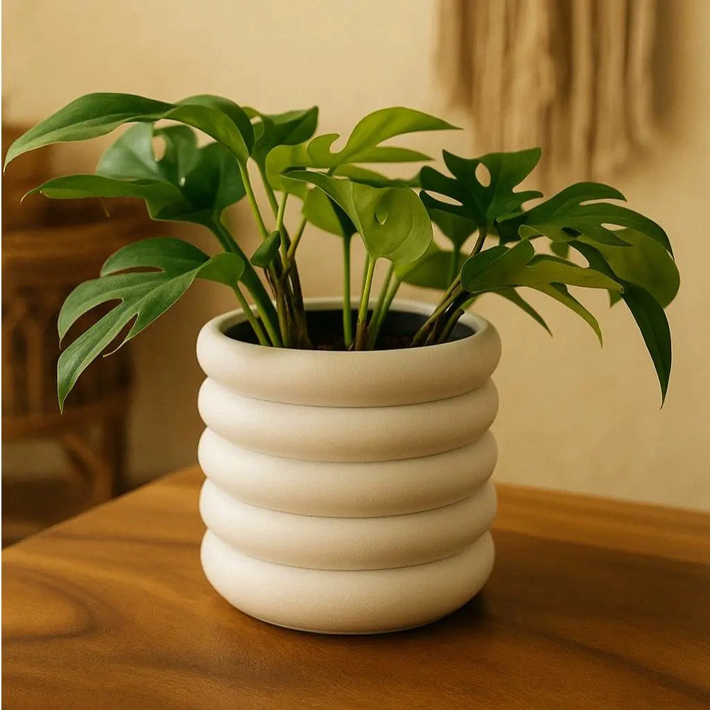 Arched Terracotta Planter with Hexagon Trellis