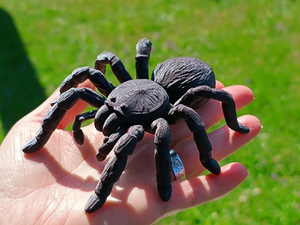 Tarantula