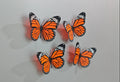 Butterfly fridge magnet