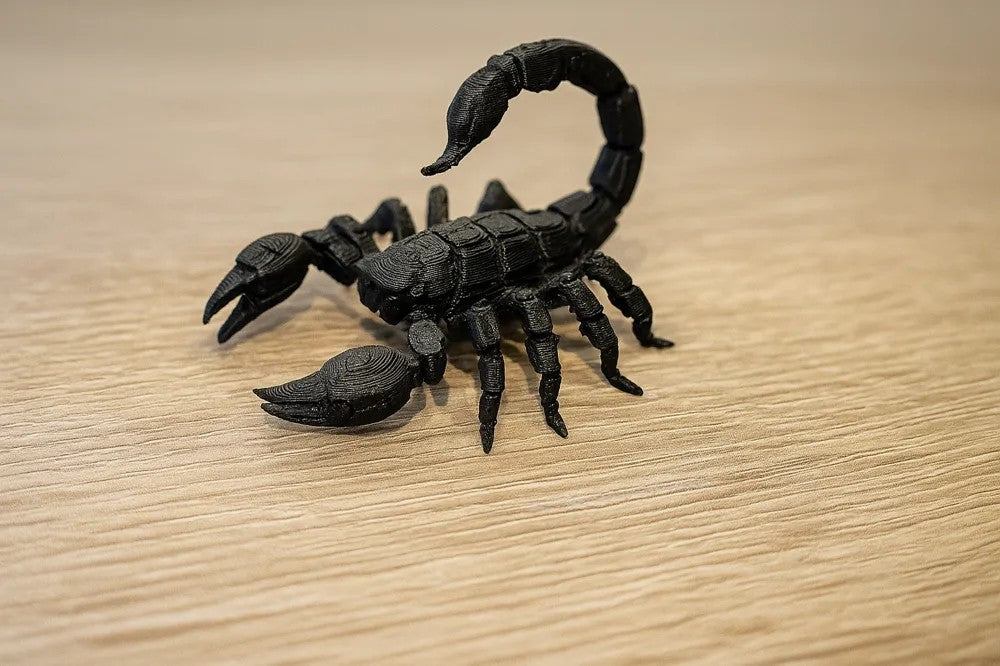 Cyber Scorpion