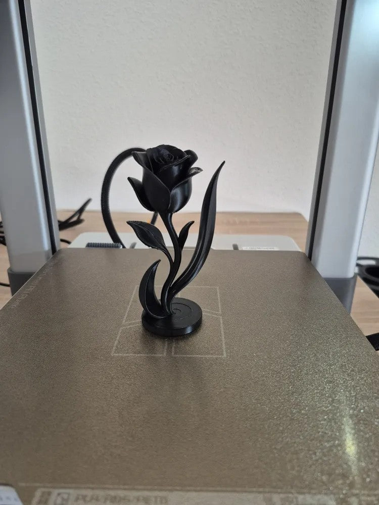 Artistic Rose