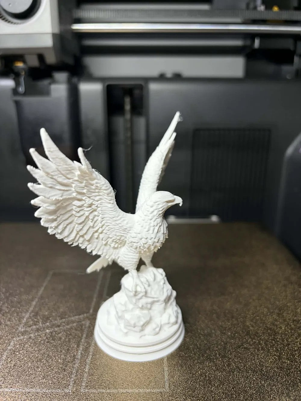 Majestic Eagle on Rock