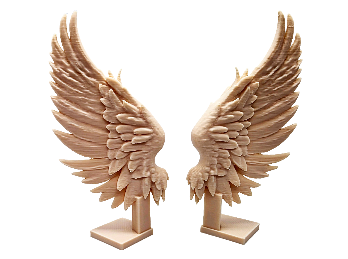 Angel wings