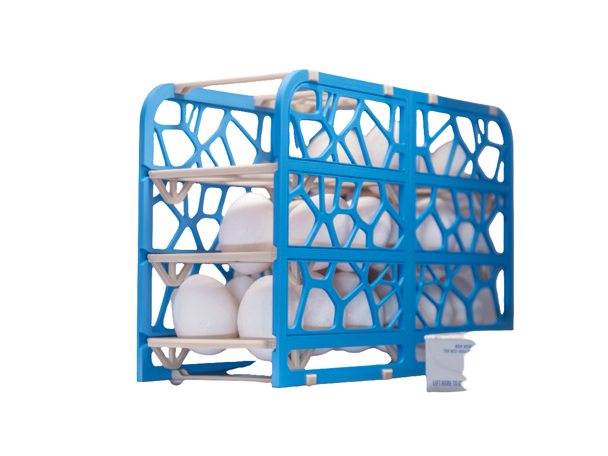 Egg organiser