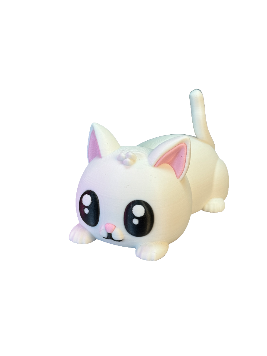 Cute cats