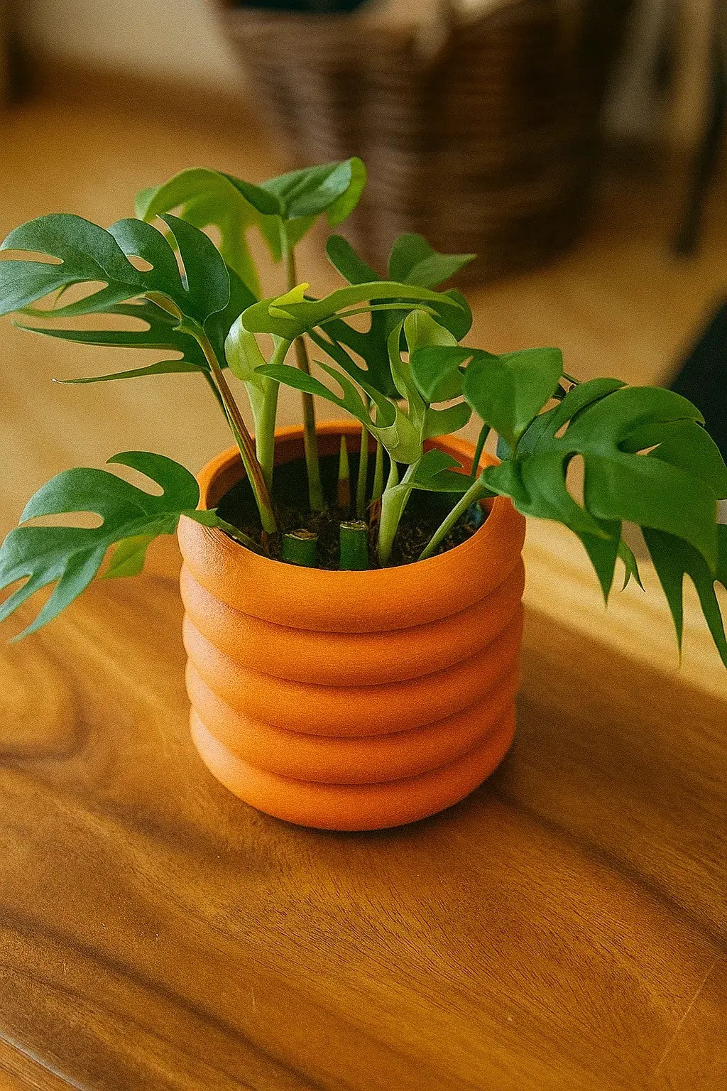 Arched Terracotta Planter with Hexagon Trellis