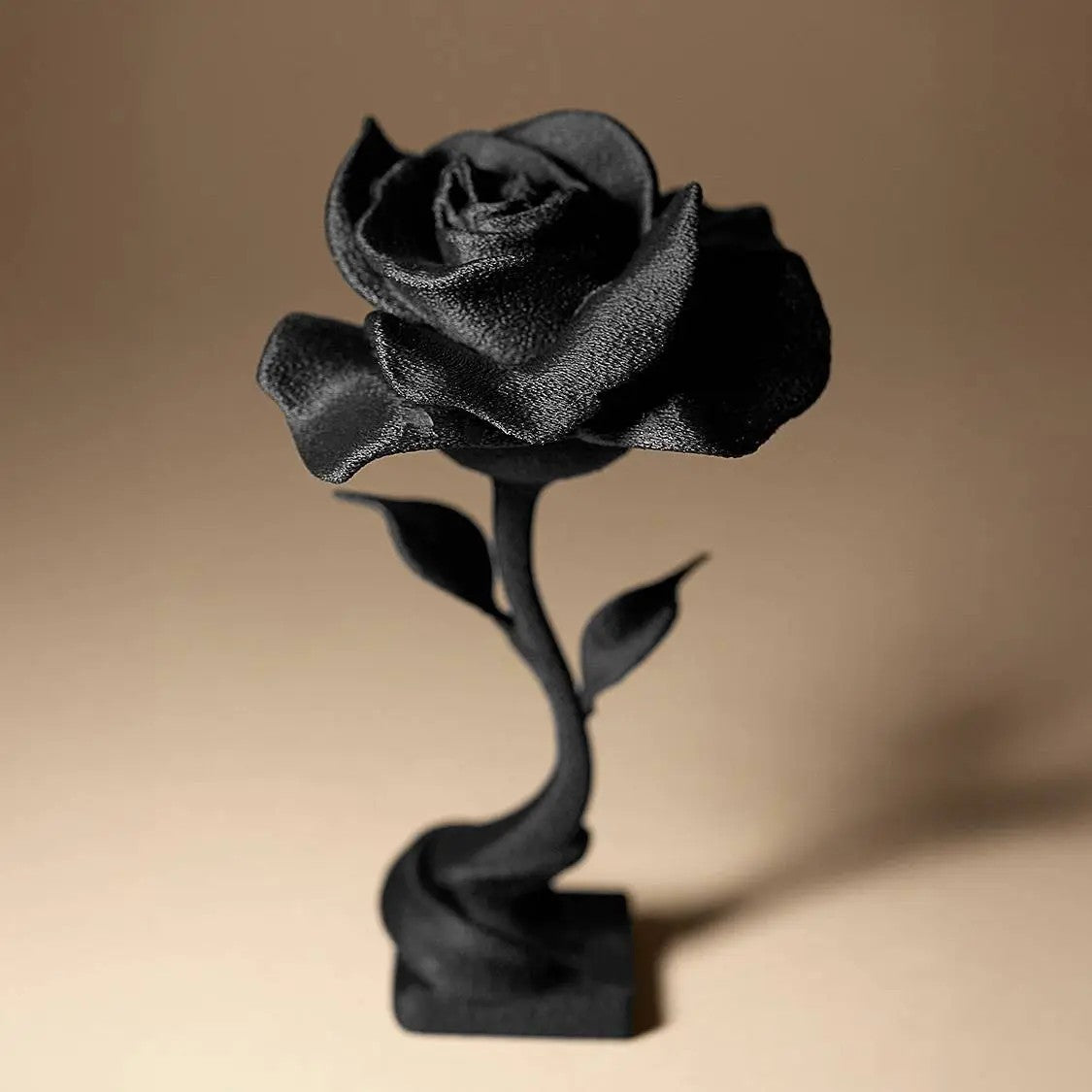 3D Model Generation