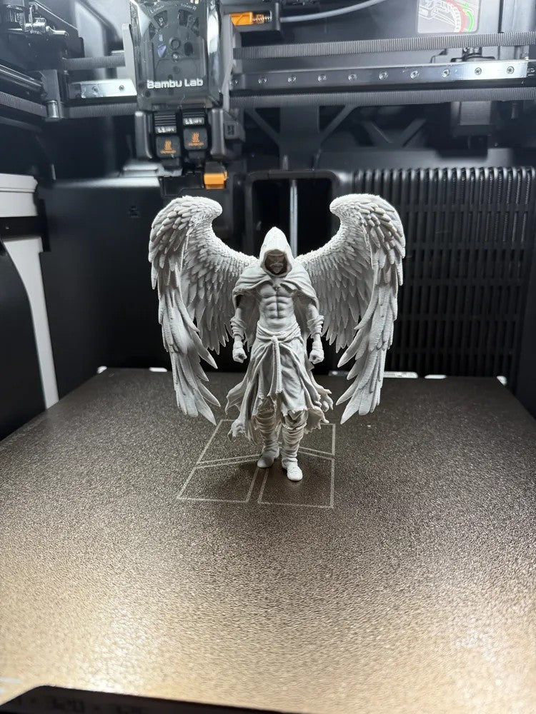 The Fallen Sovereign