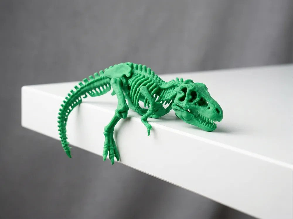 T-Rex Skeleton