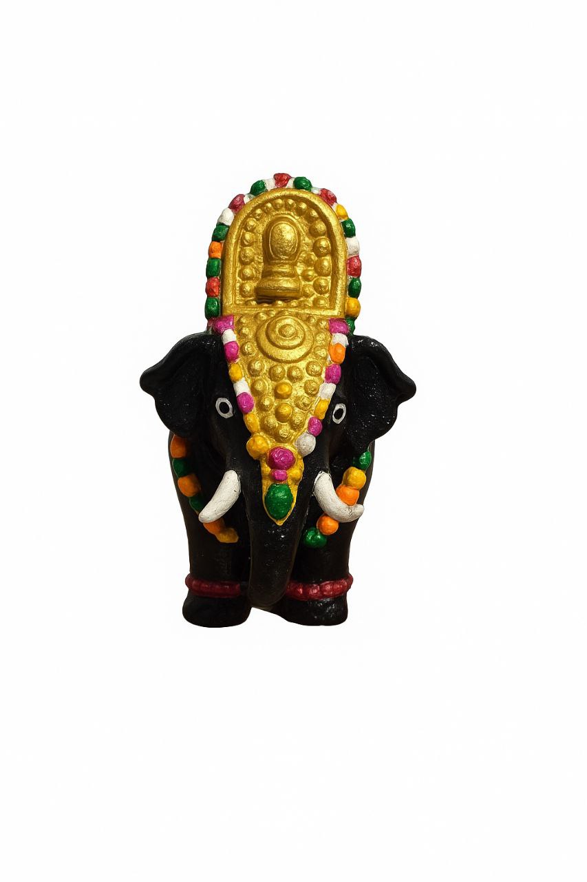 cutie elephant